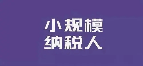 公司注册小规模纳税人怎么报税？